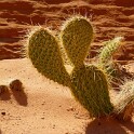 bild08