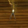 bild19