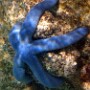 bild02