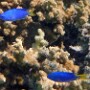 bild07