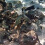 bild14