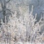 bild06