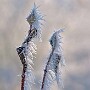 bild11