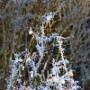 bild14