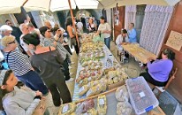 bild11